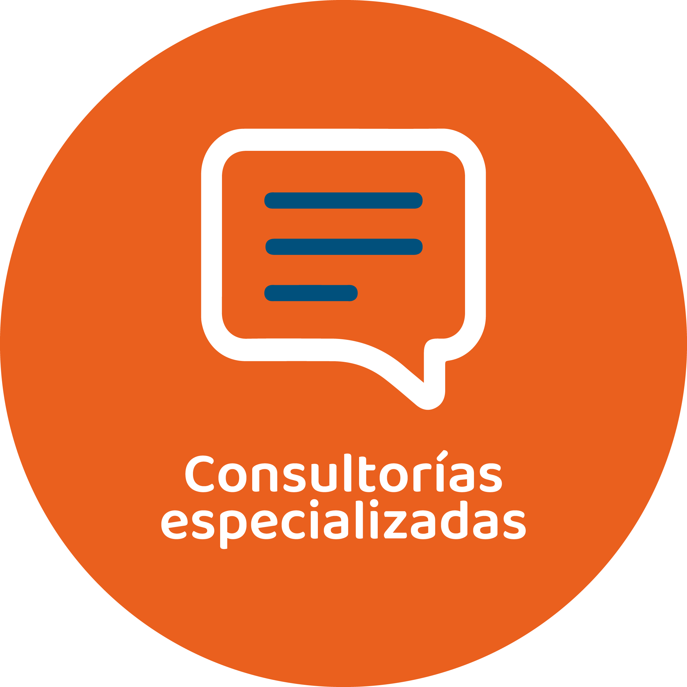 Consultorias especializadas